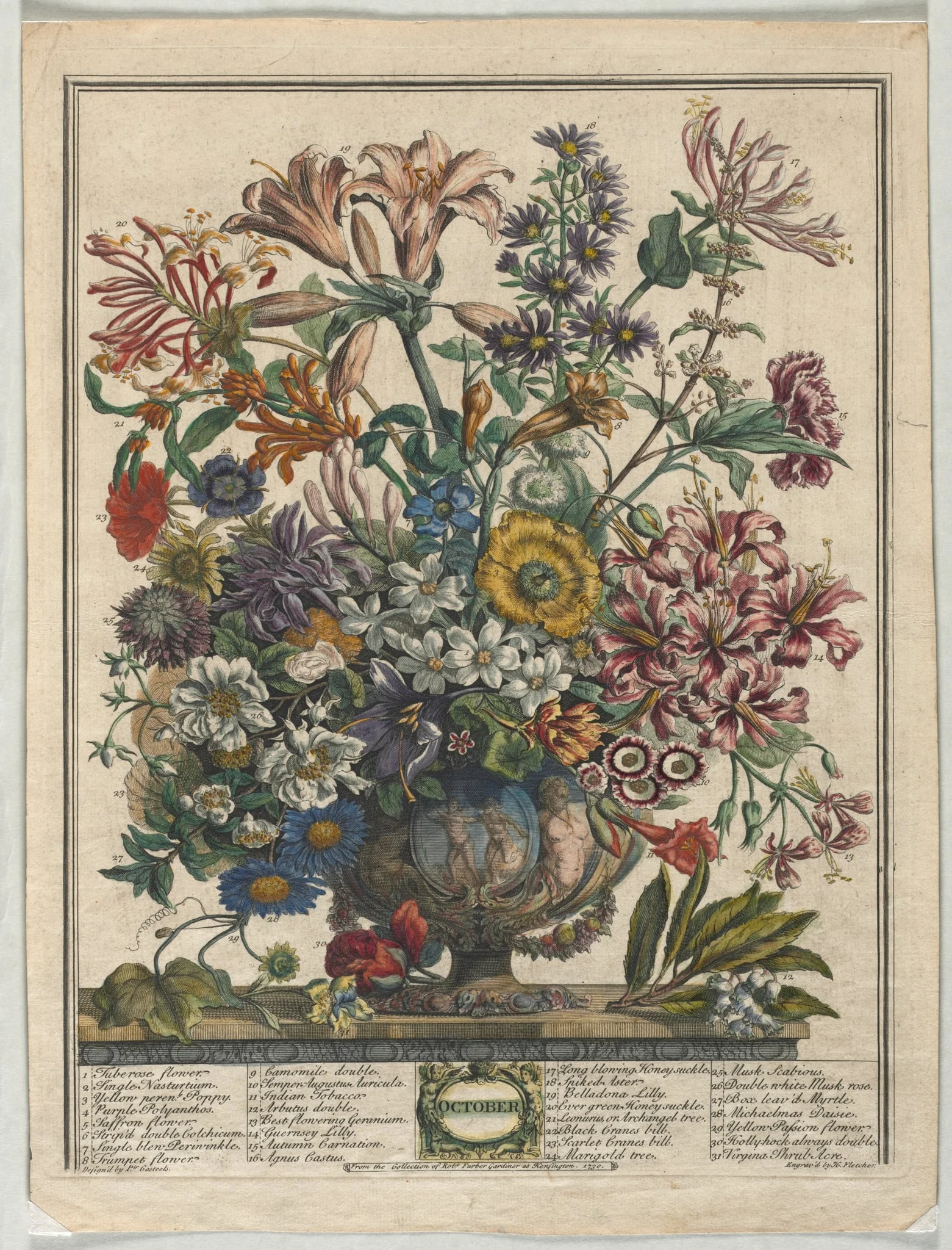 Twelve Months of Flowers:  October