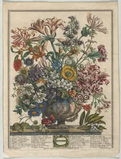 Twelve Months of Flowers:  October