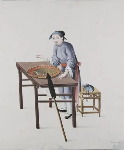 Woman Fortune Teller with Tortoise