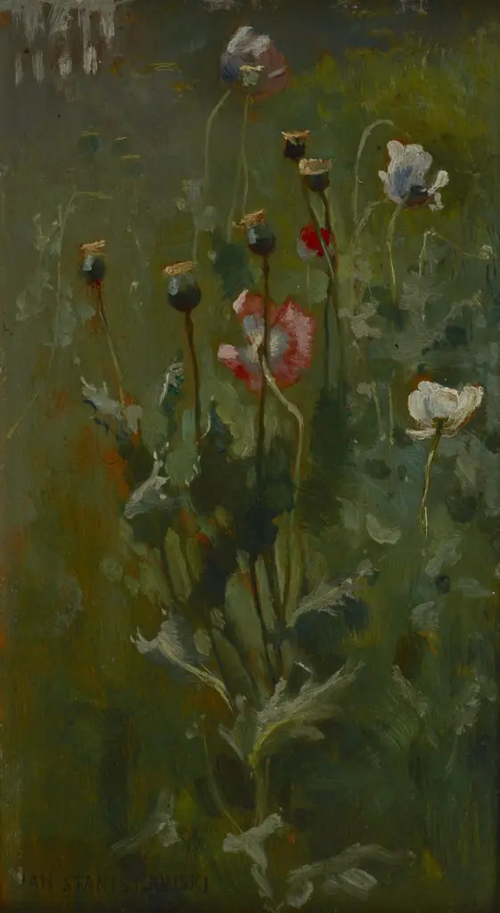 Poppies in Bloom