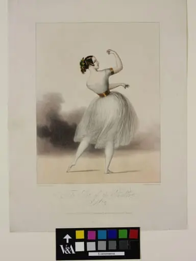 The Pet of the Ballet.