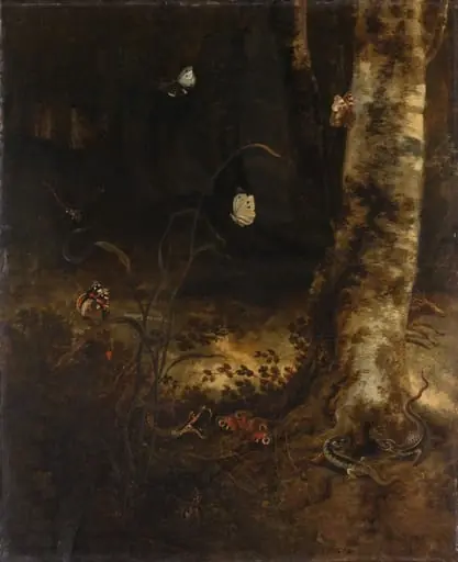 Forest Floor with a Snake, Lizards, Butterflies and other Insects