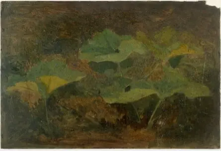 Plants