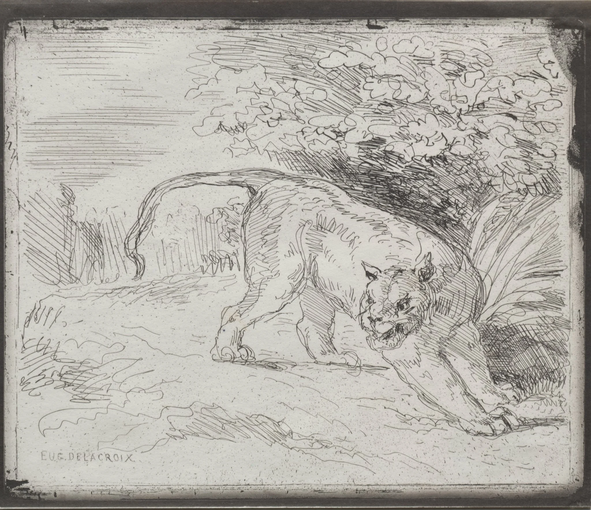 A Trapped Tiger, by Eugène Delacroix, 1854
