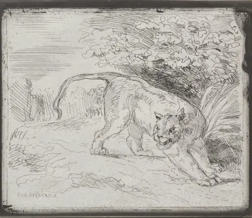 A Trapped Tiger