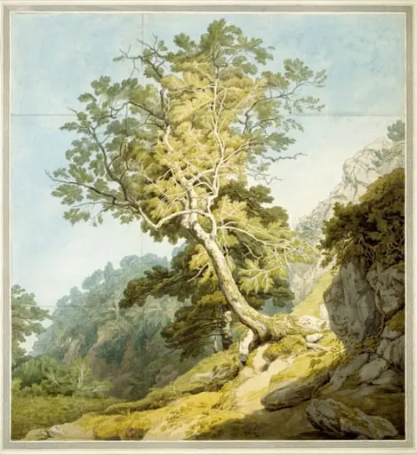 View near Canonteign, Devon