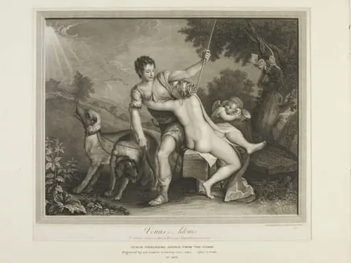 Venus dissuading Adonis from the chase