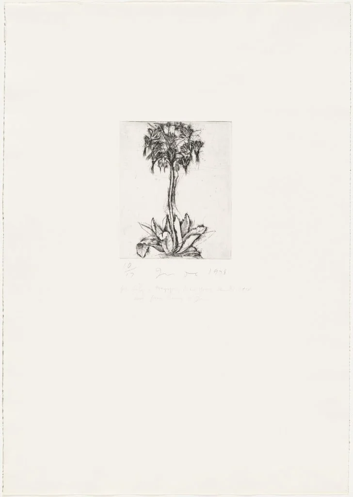 Untitled, by Jim Dine, ink, 1978