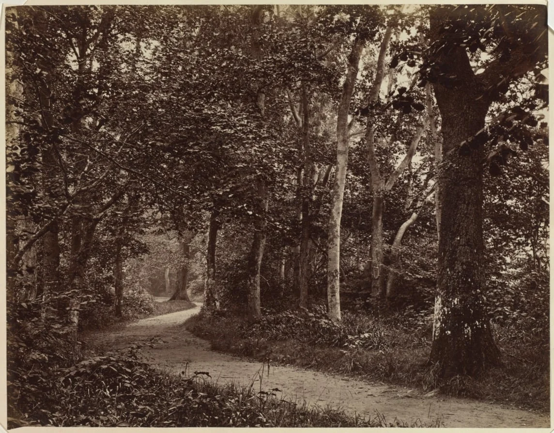 Untitled (Landscape)
