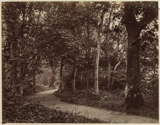 Untitled (Landscape)