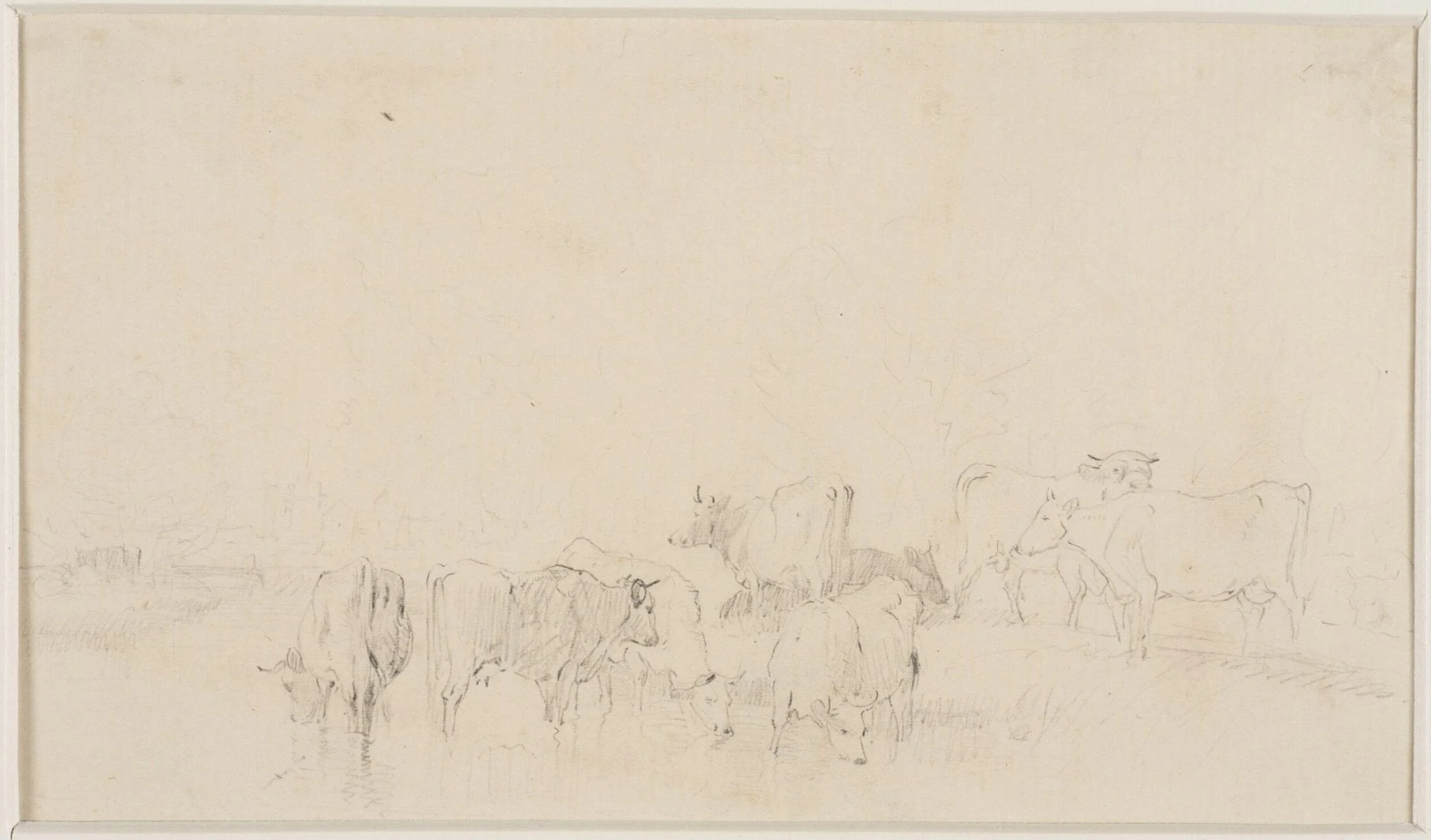 Sketch of cattle, by Thomas Sidney Cooper, 1850