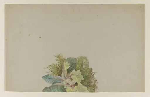 A cluster of primroses with leaves and moss