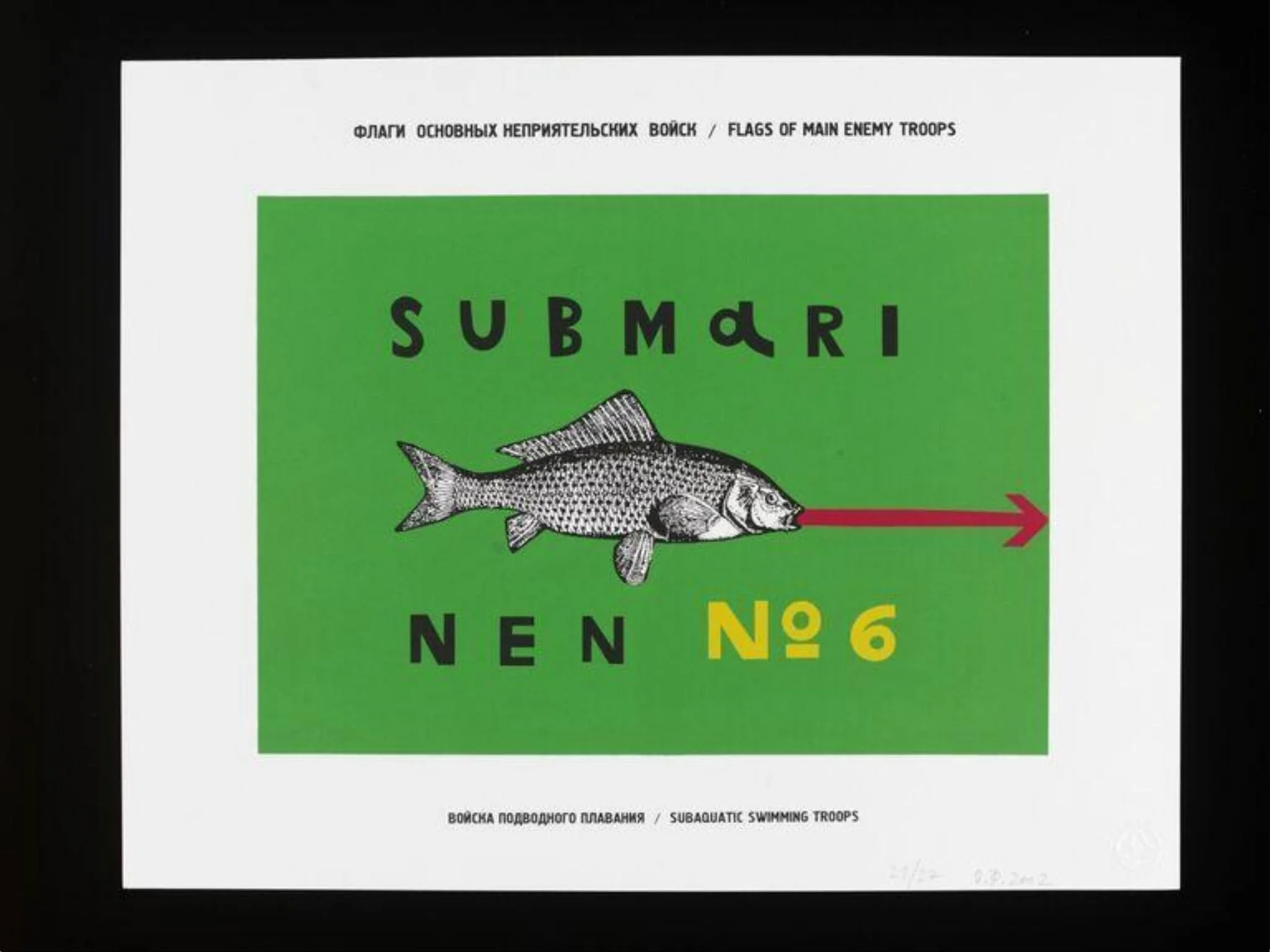 Subaquatic Swimming Troops, by Olga Florenskaya, 2002