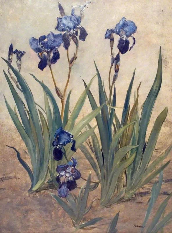 Irises (one side of a two-sided fire screen), by Rudolf Ribarz, unspecified, 1886