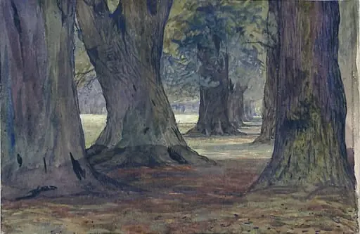 Woodland Scene