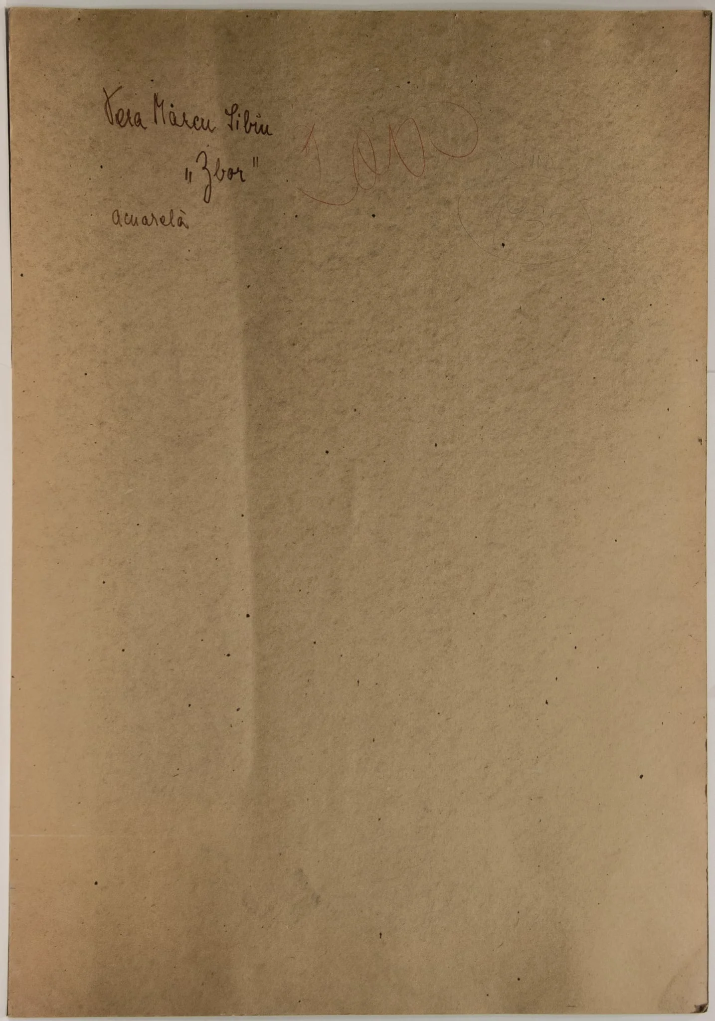 Zbor, by Vera Marcu, unspecified, 1950