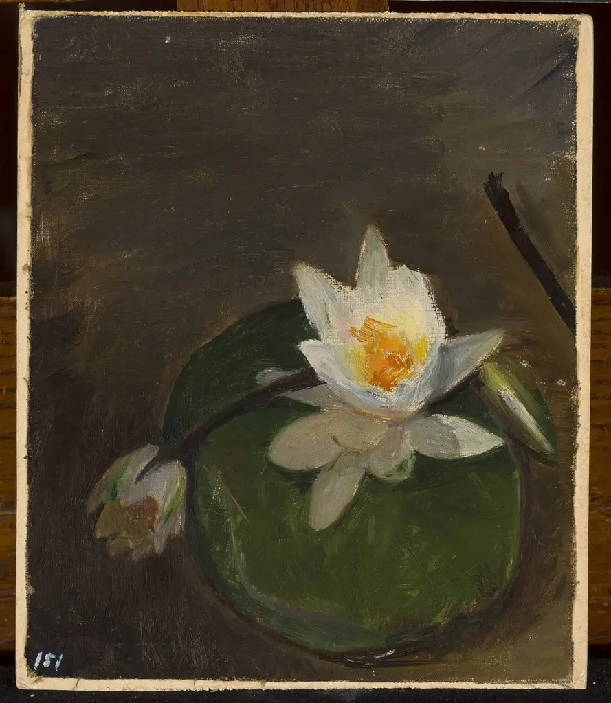 Two water lilies on a leaf