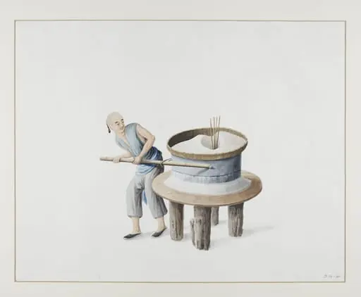 A Miller Grinding Wheat
