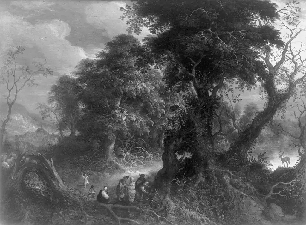 The rest in the deciduous forest