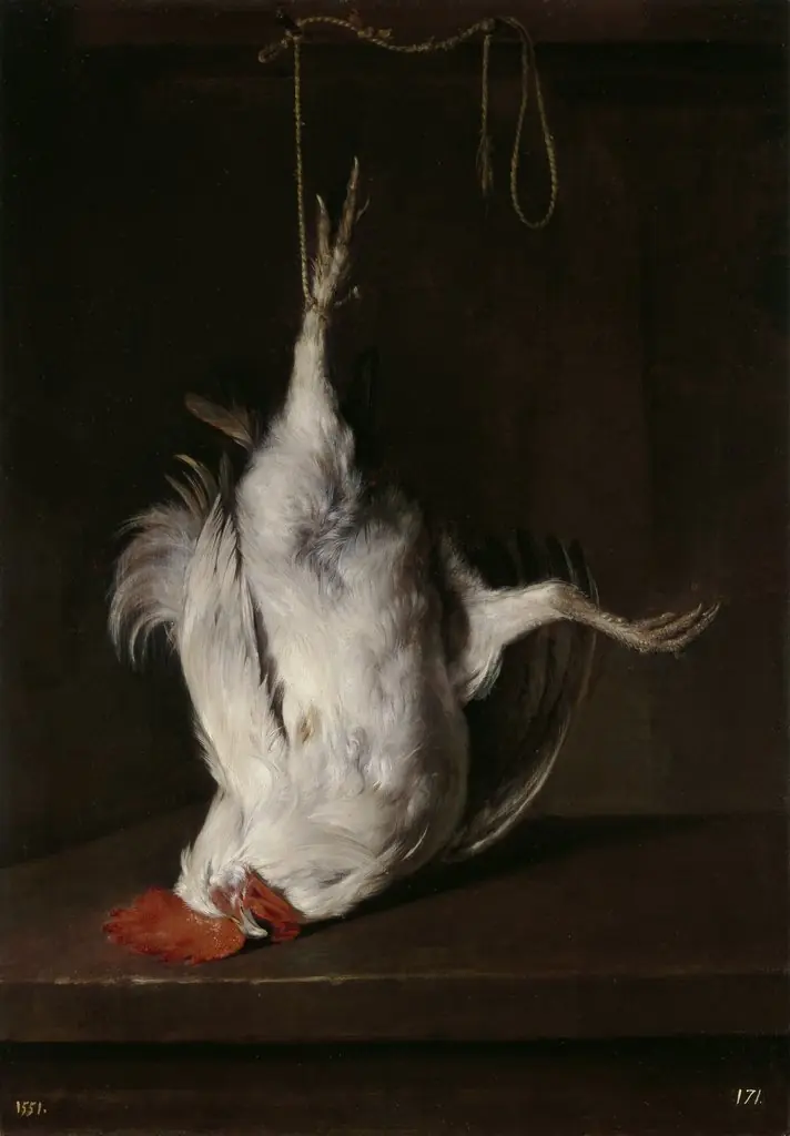 Dead Cockdkg