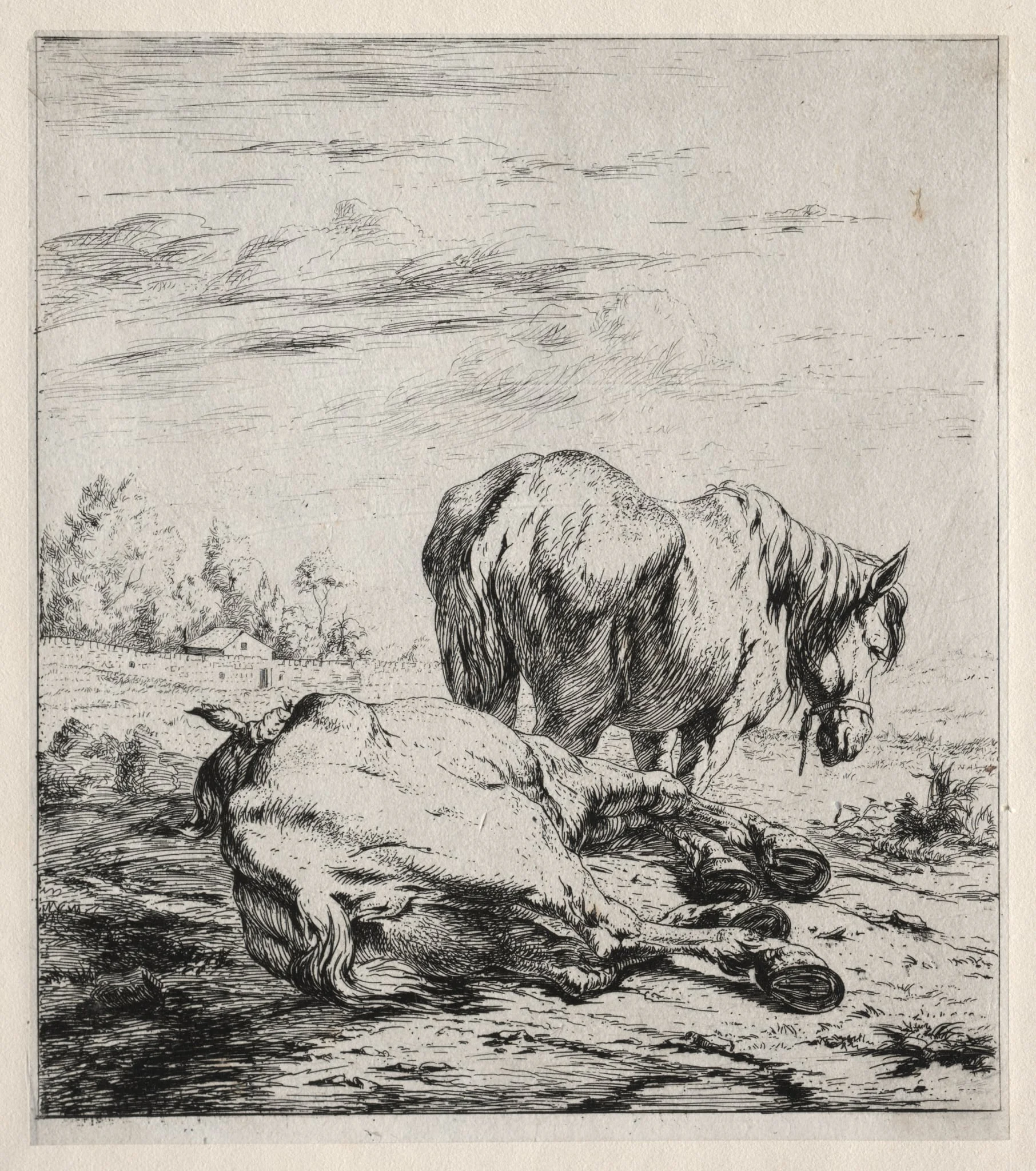 The Two Horses, by Charles Meryon, 1850
