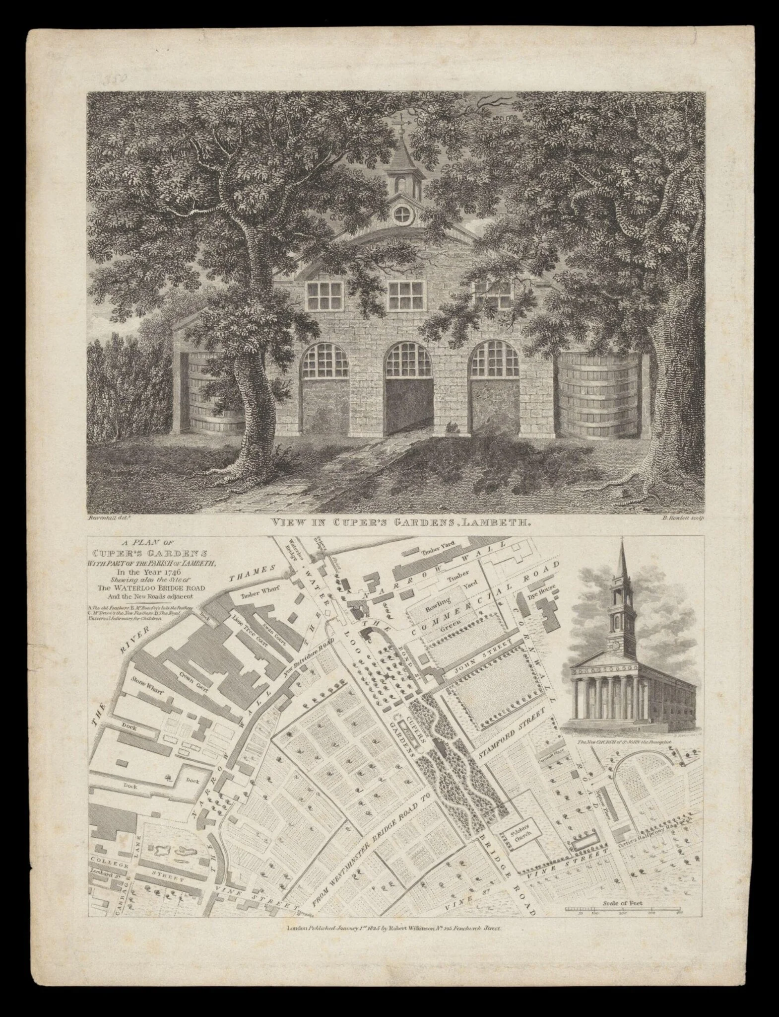 H Beard Print Collection