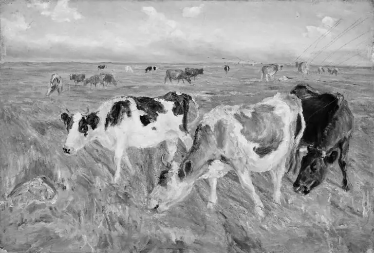 Grazing Cows on the Island of Saltholm