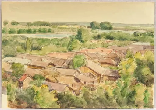 Peisaj panoramic cu case