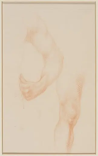Arm and Leg