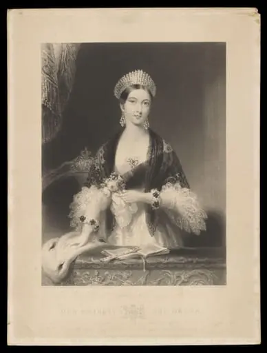H Beard Print Collection