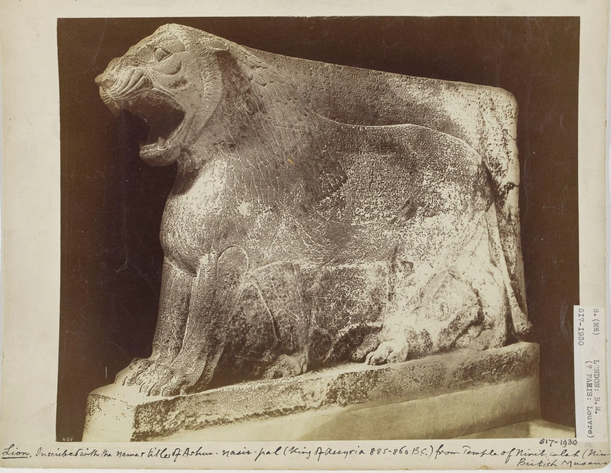 Assyrian sculpture of a lion inscribed with the name and titles of Ashur-nasir-pal (King of Assyria 885-860 B.C.) from the Temple of Nirib, Calah, by Unknown, photographic, 1894