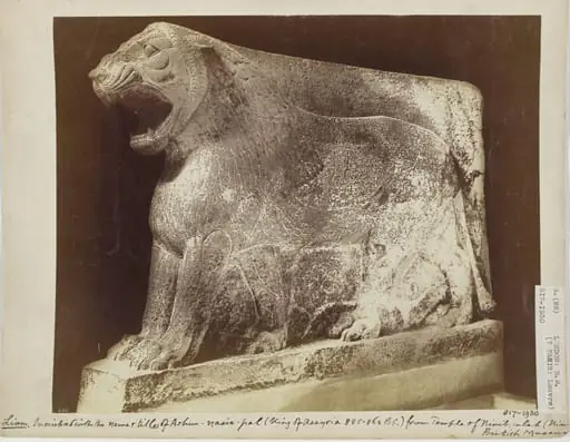 Assyrian sculpture of a lion inscribed with the name and titles of Ashur-nasir-pal (King of Assyria 885-860 B.C.) from the Temple of Nirib, Calah