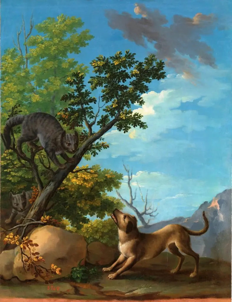 Perro y gatos