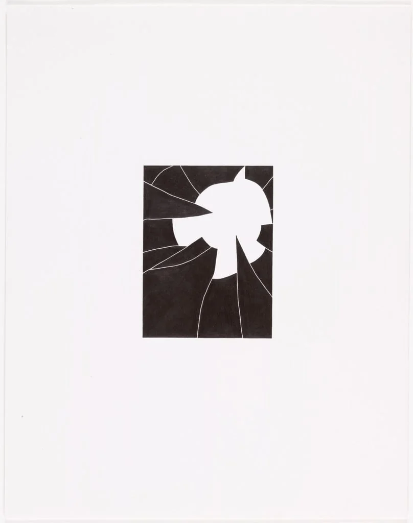 Untitled, by Iran do Espirito Santo, graphite, 2004