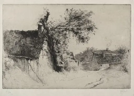 The Old Elm Tree