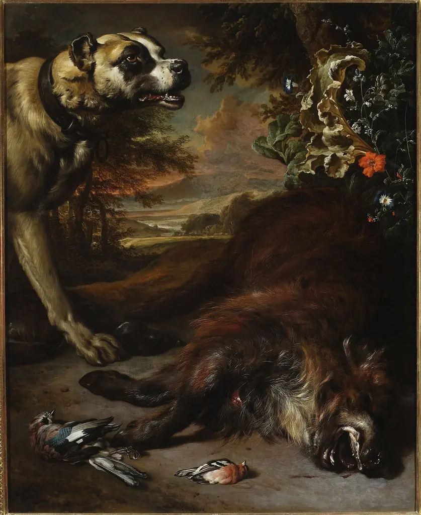 Still life