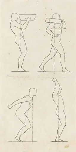 Bearing a Weight; Preparing to Jump, and Alighting
