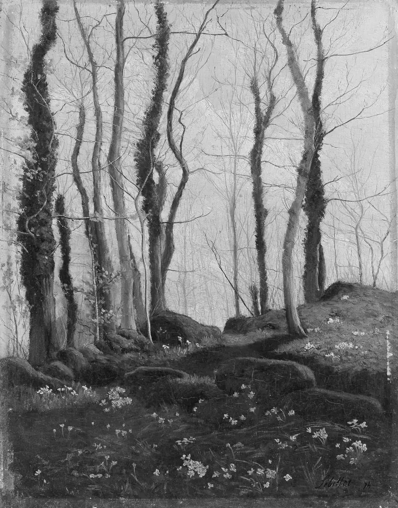 Spring in Brittany