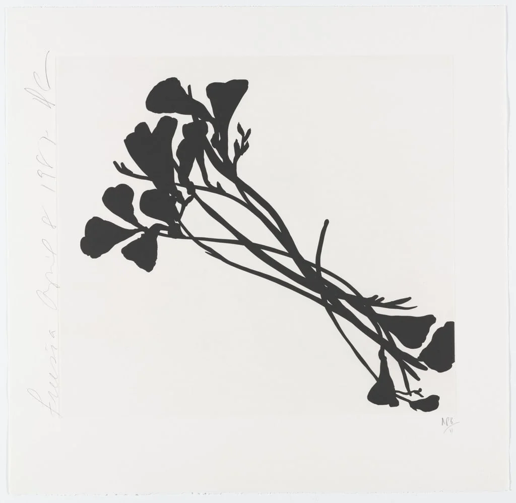 Untitled, by Donald Sultan, ink, 1987