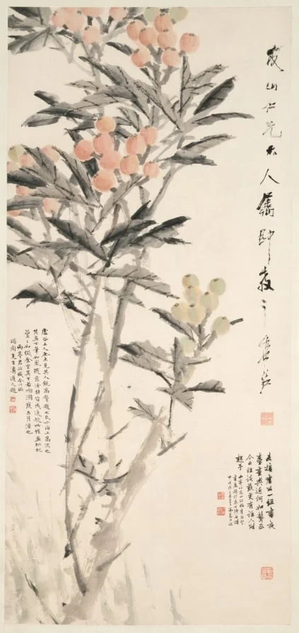 Pipa (Loquats), by Xugu, unspecified, 1888