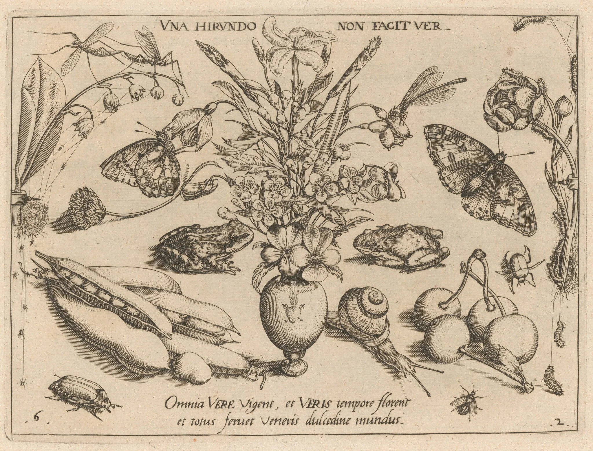 Archetypa studiaque patris Georgii Hoefnagelii [Part 2, Plate 6], by Jacob Hoefnagel, ink, 1592