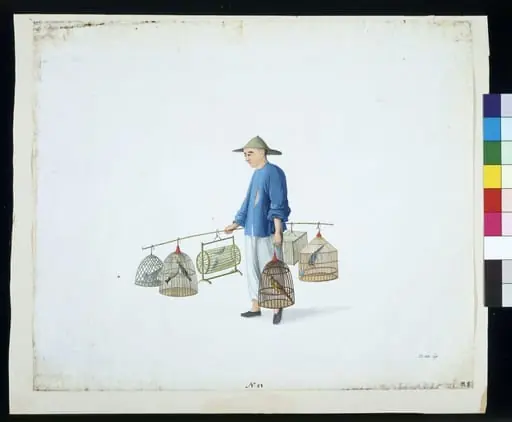 A Bird Seller