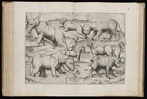 Animals from an Ancient Wall Painting [Table II]