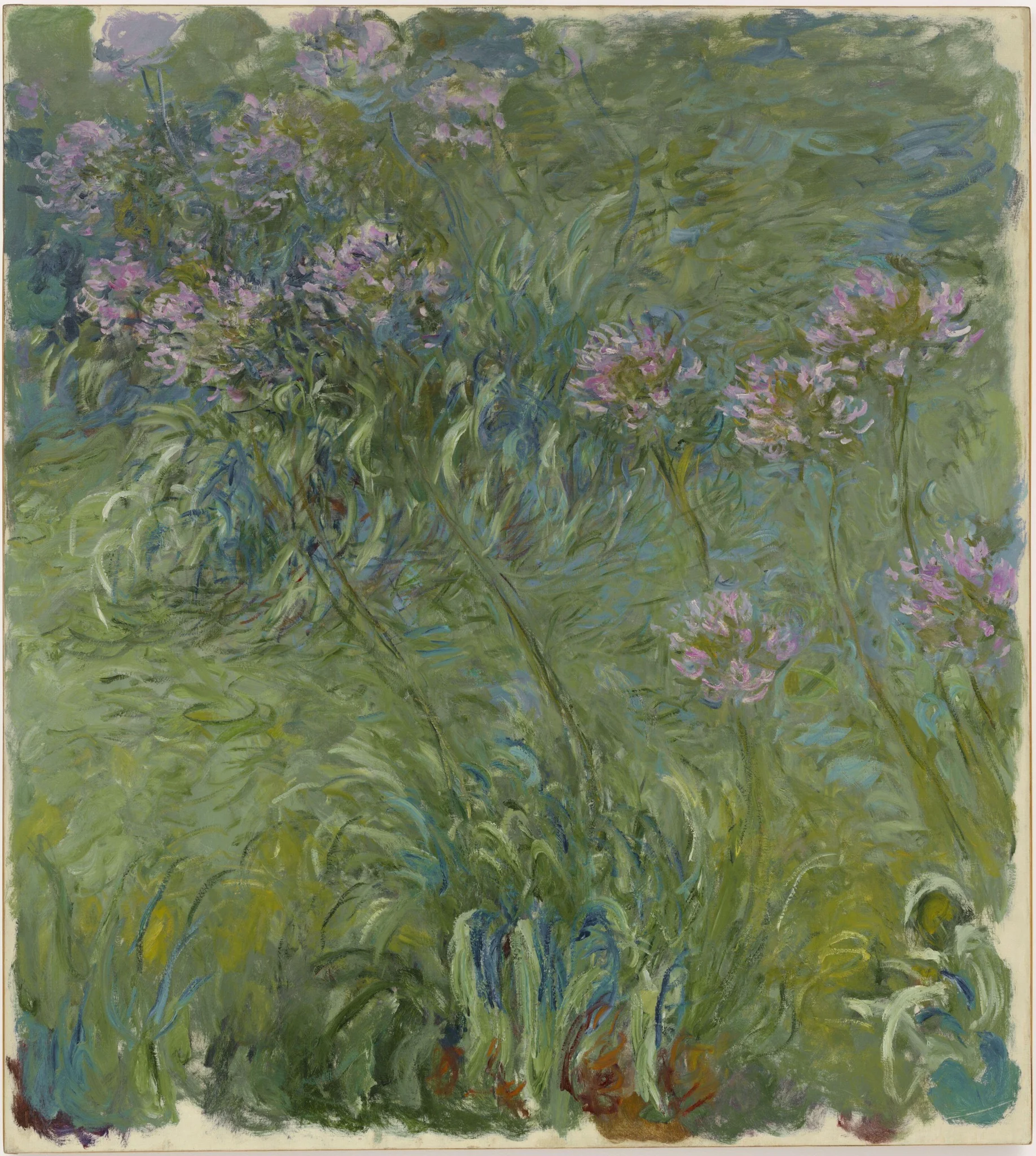 Agapanthus, by Claude Monet, oil, 1914