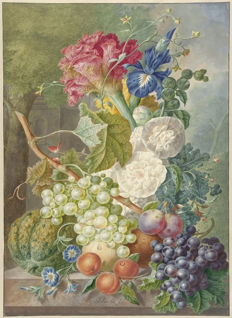 Still life of Plants, Flowers and Fruit