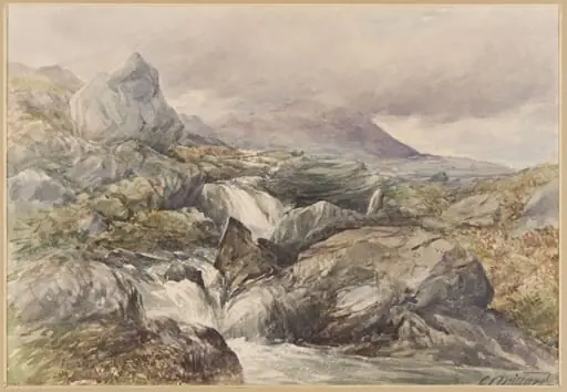 Torrent near Moel Siabod