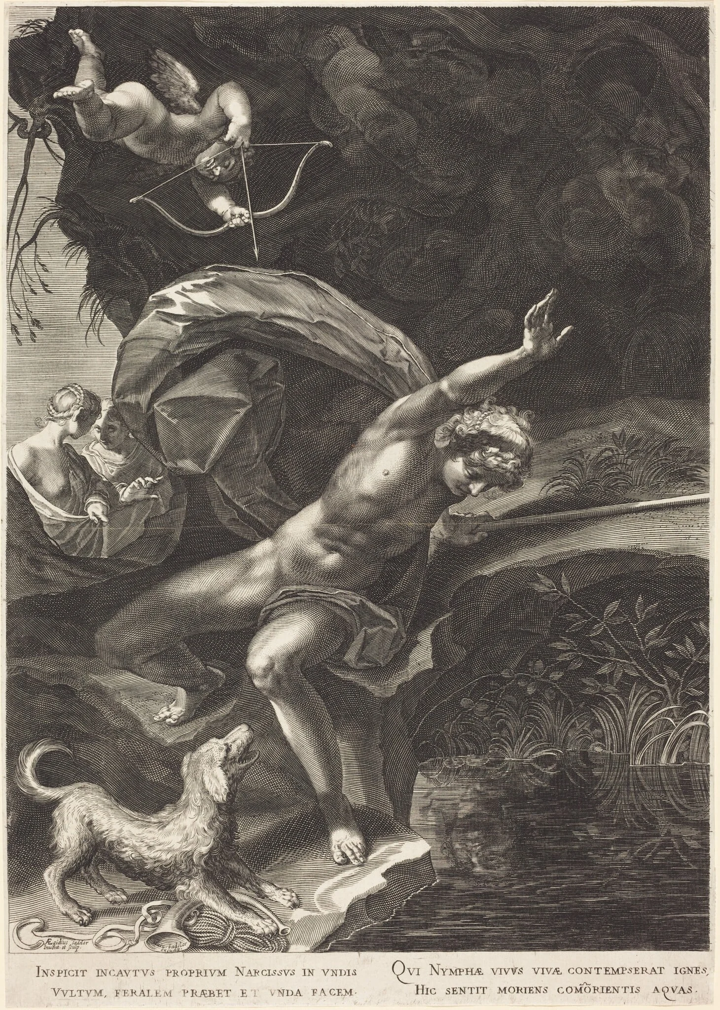 Narcissus, by Aegidius Sadeler II, ink, 1906