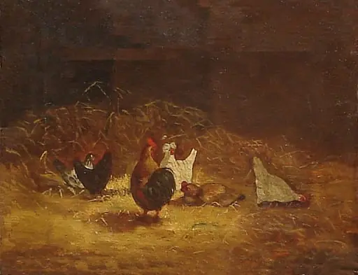 Găini