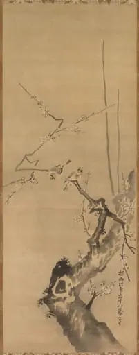 Sparrows on Blossoming Plum