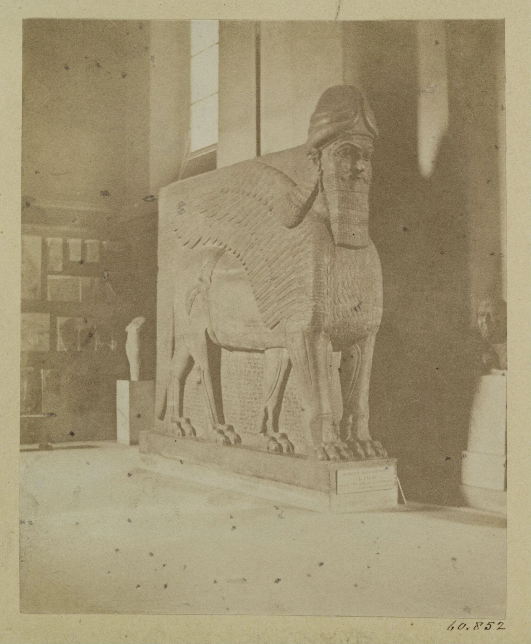 Assyrian sculpture of a lion winged.  London: British Museum